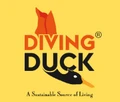 Diving Duck
