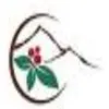 Distant Lands Coffee logo