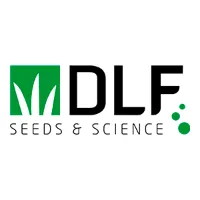 DLF logo