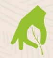 DM Paysages logo