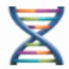 DNA Xperts