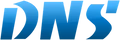 DNS ERP