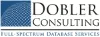 Dobler Consulting logo