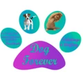Dog Forever logo