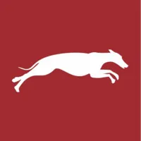 Dogfinance logo