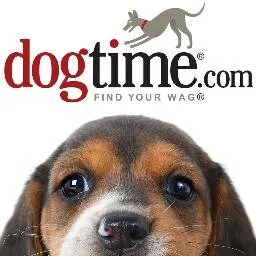 Dogtime logo