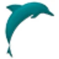 Dolphin Dynamics logo