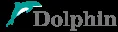 Dolphin Interconnect Solutions