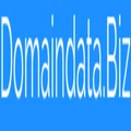 Domain Data logo