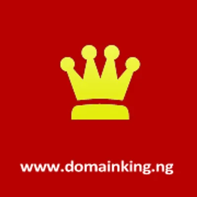 DomainKing.NG logo