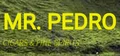 Don Pedro logo