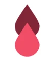 Doto Medical logo