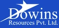 Dowins
