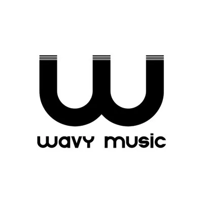 Download Wavy logo