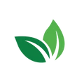 Dr Mint logo