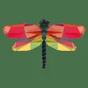 Dragonfly Lettings logo