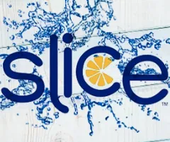 New Slice Ventures logo