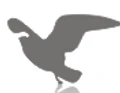 Drish Infotech