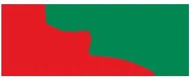 DriveDubai logo