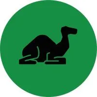 Dromy logo