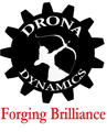 Drona Dynamics