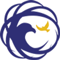 Drone America - Unmanned Systems logo