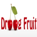 Droogfruit logo