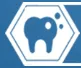 Salwan Dental logo