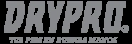 Drypro logo