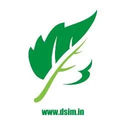 Delhi School of Internet Marketing logo