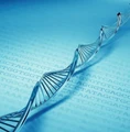 DSR Genome Technologies