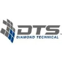 Diamond Technical Surveys logo