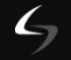 DualSafe logo