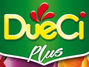 Dueci logo