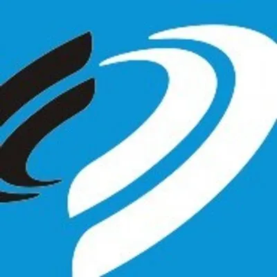 Dumas Contracting logo