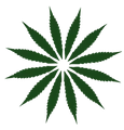 Dun Agro Hemp Group logo