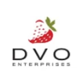 DVO Enterprise logo