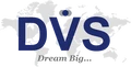 DVS Advisory Group logo