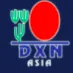DXN logo