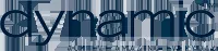 Dynamic Controls logo
