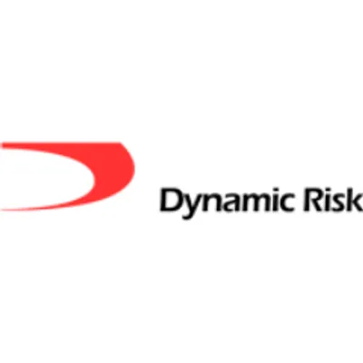 Dynamic Risk logo
