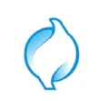 DYPP Solutions logo