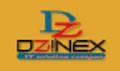 Dzinex Technologies