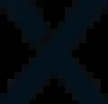 E2X logo