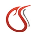 E-systems