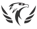 Eagle Eye Enterprises