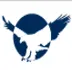 Eagle Investments logo