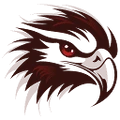 EagleEyeView