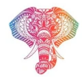 Eanythingindian