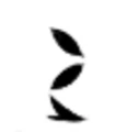 Eastern Leaves logo